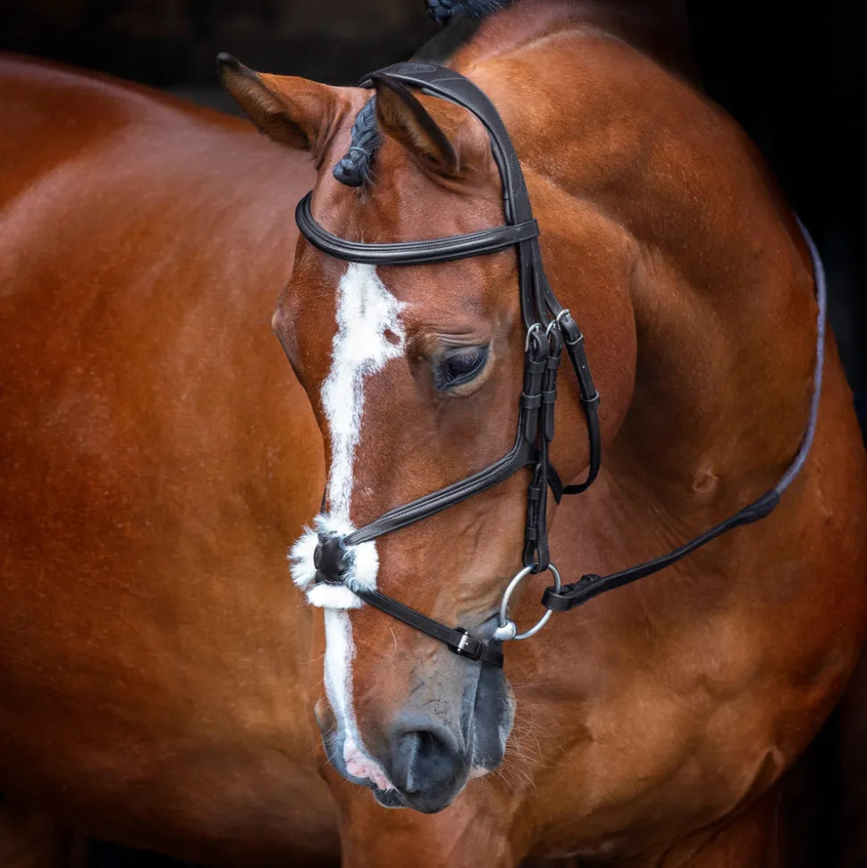 Velociti RAPIDA Grackle Bridle