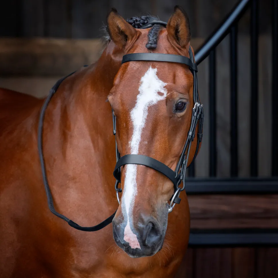 Velociti RAPIDA Hunter Cavesson Bridle