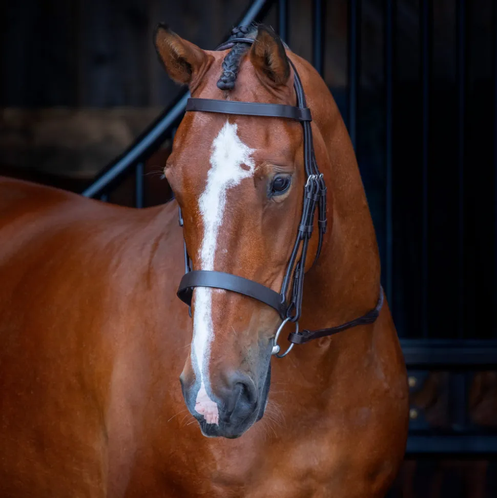 Velociti RAPIDA Hunter Cavesson Bridle