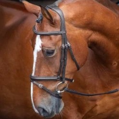 Velociti RAPIDA Padded Raised Flash Bridle