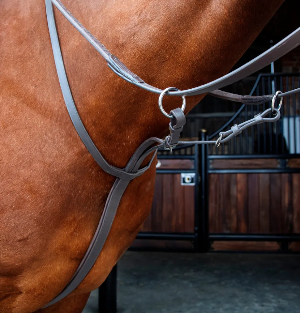 Velociti RAPIDA Running Martingale