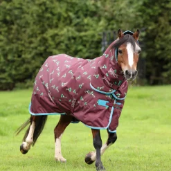 Winnie & Me 200 Turnout Rug