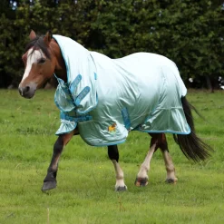 Winnie & Me Fly Combo Rug