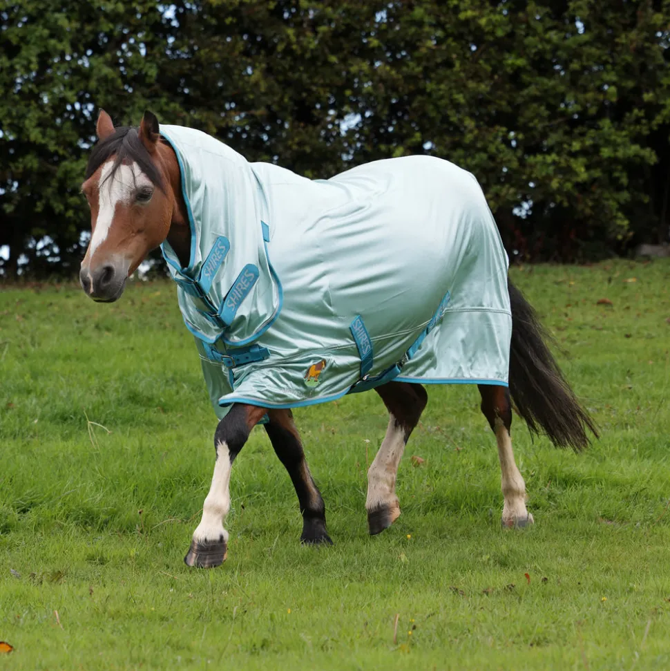 Winnie & Me Fly Combo Rug