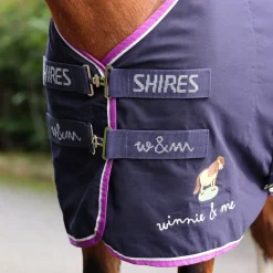 Winnie & Me Stable Sheet
