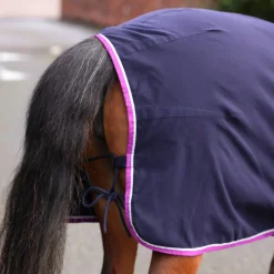 Winnie & Me Stable Sheet